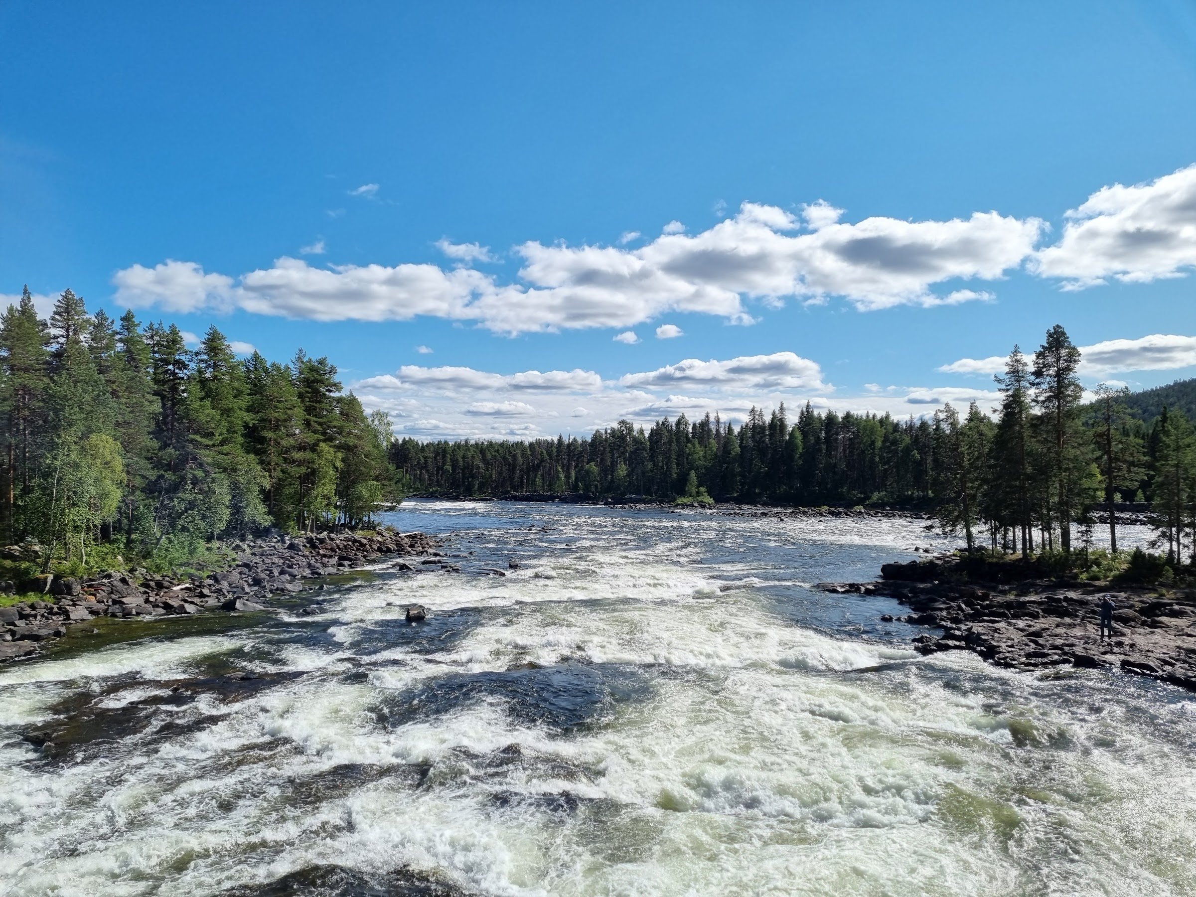 Mårdseleforsens naturreservat